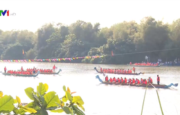 Sôi động Lễ hội đua thuyền truyền thống tỉnh Phú Yên