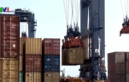 Bình Dương: Thông quan hơn 140 container phế liệu tồn đọng