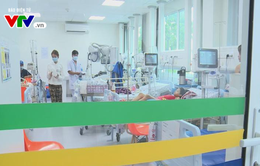 TP. Hồ Chí Minh triển khai quy trình báo động đỏ đối với bệnh nhân sốt xuất huyết