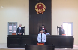 Công ty Phan Thị thua kiện trong vụ tranh chấp bản quyền Thần đồng đất Việt