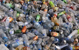 Hà Nội: Gần 60 triệu rác thải nhựa được thải ra mỗi ngày