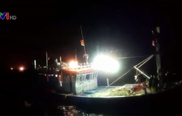 Cứu nạn tàu cá bị hỏng máy trên biển