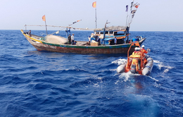Cứu hộ 7 ngư dân gặp nạn trên vùng biển Bến Tre