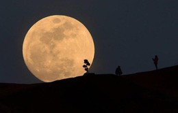Canada tham gia dự án thám hiểm Mặt Trăng của NASA