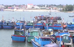Hà Tĩnh: Hàng trăm tỷ đồng nạo vét cảng, tàu cá vẫn mắc cạn