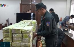 Phá thành công vụ buôn bán 300kg ma túy đá lớn nhất tại TP.HCM