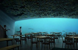 Nhà hàng dưới nước đầu tiên của châu Âu