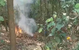 Quảng Trị triển khai nhiều biện pháp phòng chống cháy rừng