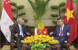 Củng cố hợp tác mang tính chiến lược Việt Nam - Singapore