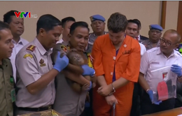 Indonesia bắt công dân Nga vận chuyển lậu đười ươi