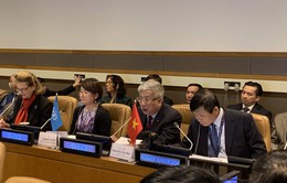 Hội thảo quốc tế "Việt Nam: Khắc phục hậu quả chiến tranh, nỗ lực vì hòa bình và phát triển bền vững"