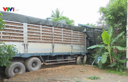Quảng Trị: Xe container chở gỗ dăm mất lái lao vào nhà dân bên đường