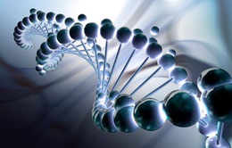 Hack DNA có thể giúp con người “bất tử”
