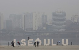Hàn Quốc liệt ô nhiễm bụi mịn thành thảm họa quốc gia