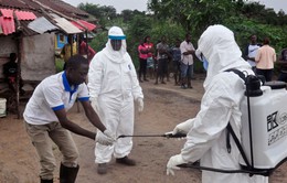 Hy vọng mới về vaccine đa năng phòng mọi chủng virus Ebola
