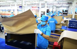 Hãng điện tử Việt dùng giấy tái chế thay thế nylon
