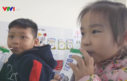 Vinamilk phản hồi về sản phẩm trong chương trình sữa học đường