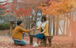 Choáng ngợp với khung hình đầy lãng mạn tại xứ Hàn của "Ước hẹn mùa thu"