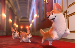 Những chú chó Corgi của Nữ hoàng Anh được đưa lên phim