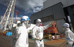 Nhật Bản cho phép người nước ngoài làm việc tại Nhà máy Fukushima 1