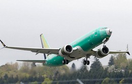 Ủy ban quốc tế rà soát độ an toàn của Boeing 737 Max