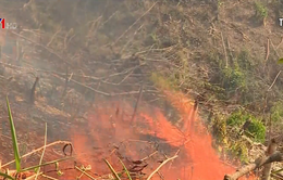 Tình hình cháy rừng diễn biến phức tạp trên cả nước