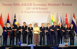Hội nghị hẹp Bộ trưởng Kinh tế ASEAN lần thứ 25