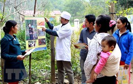 Việt Nam đạt kết quả cao trong phòng chống sốt rét
