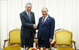 Thủ tướng Nguyễn Xuân Phúc hội kiến Thủ tướng Singapore Lý Hiển Long