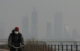Người Hàn Quốc muốn rời khỏi đất nước vì ô nhiễm không khí