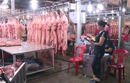 TP Hồ Chí Minh: Lo ngại dịch tả lợn châu Phi thâm nhập từ miền Tây