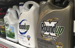 Monsanto "dính" bê bối truyền thông