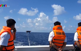 Cứu tàu cá cùng 34 thuyền viên gặp nạn trên vùng biển Trường Sa