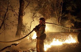 Cháy rừng ở California năm 2018 là do sự cố đường dây truyền tải điện