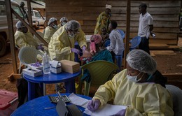 26 người thiệt mạng trong 1 ngày tại Congo vì virus Ebola