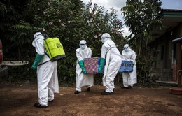 WHO kêu gọi điều chỉnh chiến lược đối phó với dịch Ebola ở CHDC Congo