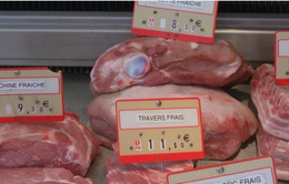 Dịch tả lợn châu Phi đe dọa các nhà sản xuất Pháp