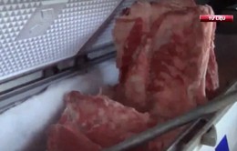 Khởi tố vụ giết mổ, tàng trữ lợn nhiễm dịch tả lợn châu Phi tại Đồng Nai