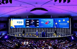 Bầu cử Nghị viện châu Âu: Các đảng xanh và đảng cực hữu trong châu Âu có thêm nhiều ghế