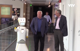 Ireland phát triển robot chống lại sự cô đơn của người già