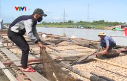Phó Thủ tướng yêu cầu xác định nguyên nhân cá chết trên sông La Ngà