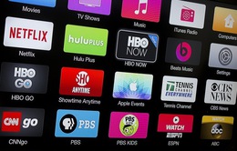 Thị trường truyền hình trực tuyến tăng trưởng vượt bậc