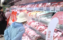 Siết chặt chất lượng thịt lợn trên thị trường TP.HCM
