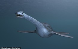 Tìm thấy hóa thạch của loài khủng long lớn nhất từ trước đến nay