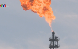 IEA hạ dự báo nhu cầu dầu mỏ toàn cầu