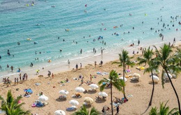 Hawaii đầu tư 13 triệu USD để cải tạo bãi biển nổi tiếng nhất khu du lịch