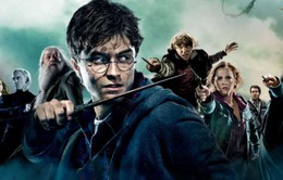 Sao “Harry Potter” mong muốn có phần phim kế tiếp