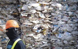 Đông Nam Á tìm cách trả lại rác cho các nước phát triển