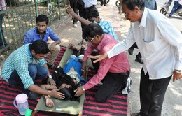 Gần 50 người tử vong do nắng nóng gay gắt ở Ấn Độ