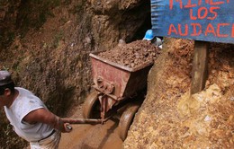 Phát hiện mỏ vàng khổng lồ ở Ecuador